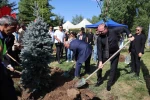 10. yılda 10 yetişkin ağaç toprakla buluştu