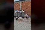 2 haftadır alınmayan çöpler tepki çekti