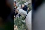 20 metrelik uçurumdan düştü, yaralıyı sırtında taşıyan itfaiyeci yürekleri ısıttı