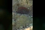 5 toprak küpün içerisinde insana ait kemik parçaları bulundu
