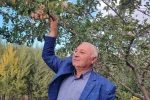 60 yaşındaki çiftçi: "İlk kez böyle bir şey görüyorum"
