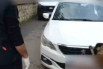 92 kilo bonzai hammaddesi taşıyan 2 şüpheli gözaltına alındı
