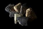 Aççana Höyük’te M.Ö. 1500’lere ait çivi yazılı tabletler bulundu