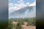 Acıpayam’daki orman yangını kontrol altına alındı