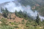 Adana’da orman yangını