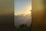 Adana’da orman yangını 