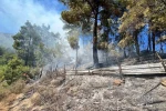 Adana’da orman yangını çıktı