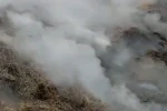 Adana’da samanlık yangını kontrol altına alındı