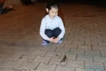 Adana’da ’semender’ görüldü