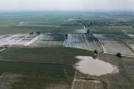 Adana’da tarım arazileri sular altında kaldı