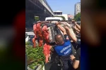 Adana’da zabıta seyyara operasyon yaptı, ürünleri ziyan etti