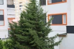 Adana’nın kuzey ilçelerinde kuvvetli rüzgar etkili oldu