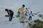 Adilcevaz’da yaban hayvanları unutulmadı: Aktivistlerden Süphan Dağı eteğine yem bıraktı