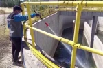 Adıyaman Belediyesi larva mücadelesini yoğunlaştırdı