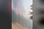 Adıyaman’daki orman yangını kontrol altına alındı