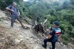 Ağaç yangını korkuttu