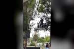 Ağaçta mahsur kalan kediyi itfaiye kurtardı