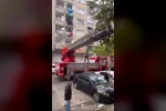 Ağaçta mahsur kalan kediyi kurtarmak için seferber oldular 