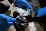 Ağrı’da 8,3 kilo metamfetamin ele geçirildi