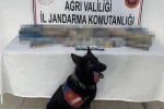 Ağrı’da bin 227 paket gümrük kaçağı sigara ele geçirildi