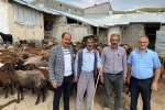 Ağrılı çiftçilere müjde: Yetiştiricilere yüzde 50 hibeli makine ve uygun fiyatlı hayvan ilaçları desteği