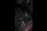 Ahır yandı, 7 hayvan telef oldu