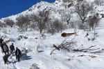 Ahırların üzerine çığ düştü, küçükbaş hayvanlar telef oldu