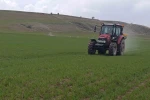 Ahlat’ta buğday tarlalarında gübre mesaisi