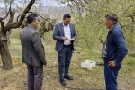 Akçadağ Belediye Başkanı Ulutaş, doludan etkilenen üreticileri ziyaret etti