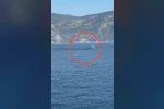 Akdeniz açıklarında görüntülenen balina heyecanlandırdı