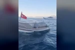 Akdeniz Foku’nun motoryat keyfi
