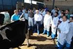 Aksaray’da 60 ilin personeline ineklerin başında uygulamalı eğitim