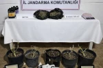 Aksu’da 243 gram uyuşturucu madde ele geçirildi