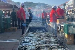 Alanya’da geleneksel hamsi festivali başladı 7 ton hamsi ücretsiz dağıtılacak