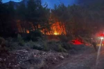 Alanya’da ormanlık alanda çıkan yangın kontrol altına alındı