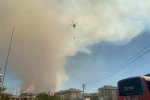 Alanya’da ormanlık alanda yangın