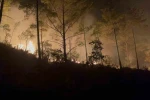 Alanya’da ormanlık alandaki yangın