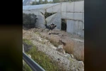Alanya’da otomobil muz serasına devrildi: 1 ölü, 1 yaralı