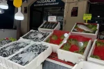 Alaplı’da balık tezgâhları boş kaldı