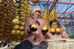 Alaşehir’de ilk kez ’Cennet Hurması Festivali’ düzenlenecek