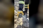 Alevler arasında kalan kaplumbağayı itfaiye ekipleri suyla serinletti 
