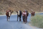 Alevlerden kaçtılar, hayvanlarını ve kendi canlarını zor kurtardılar