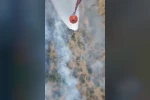 Altıeylül ve Sındırgı’da orman yangını başladı