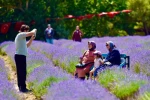 Altıeylül’de mor şölen ilgi gördü