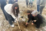Altıntaş’ta lise öğrencileri fidan dikti