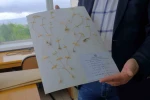 Anadolu Üniversitesi’nden dünya literatürüne iki yeni endemik tür 