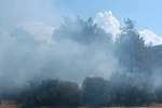 Andırın’da orman yangını büyümeden söndürüldü