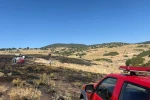 Anız yangını ormanlık alana sıçramadan söndürüldü