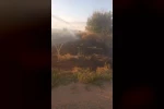 Anız yangını tarım arazileri ve ormanlık alana sıçramadan söndürüldü