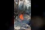 Ankara’da ağaçlık alanda çıkan yangın söndürüldü